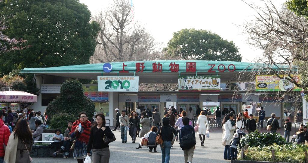 Ueno Zoo 
